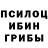 Галлюциногенные грибы ЛСД THEJudgeHolden