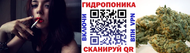 Шишки марихуана SATIVA & INDICA  Купить где  Яхрома 